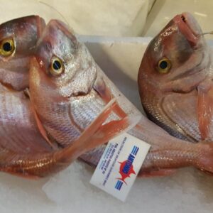Pargo bocinegro fresco · AGC