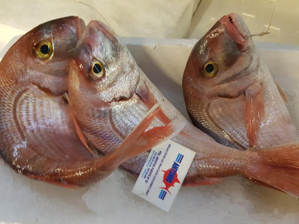 PHOTO-2020-10-13-07-42-06 Pargo bocinegro fresco · AGC