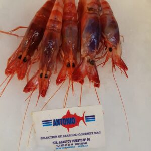 Gamba roja del catálogo AGC Pescados y Mariscos